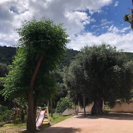 Appartamento Maremontagna Cardedu Eksteriør billede
